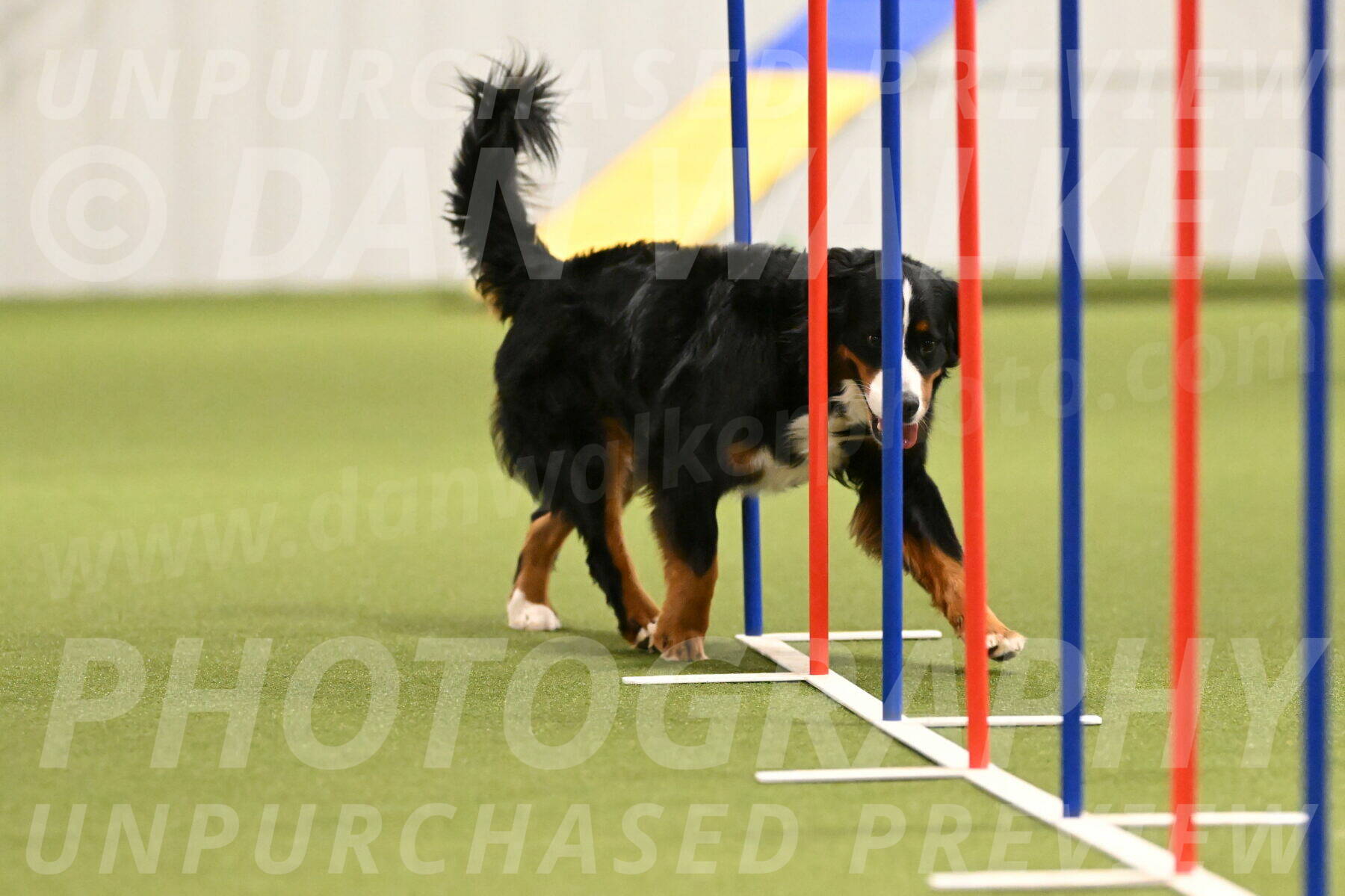 Margo-Julia-Airgood-09549