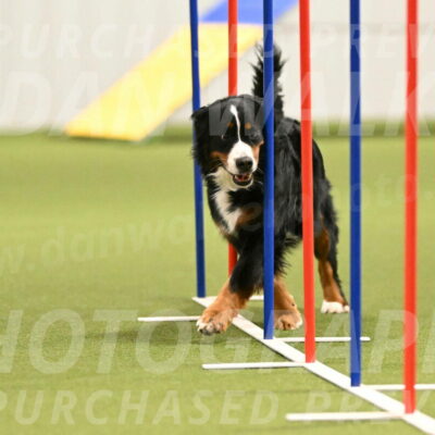 Margo-Julia-Airgood-09550