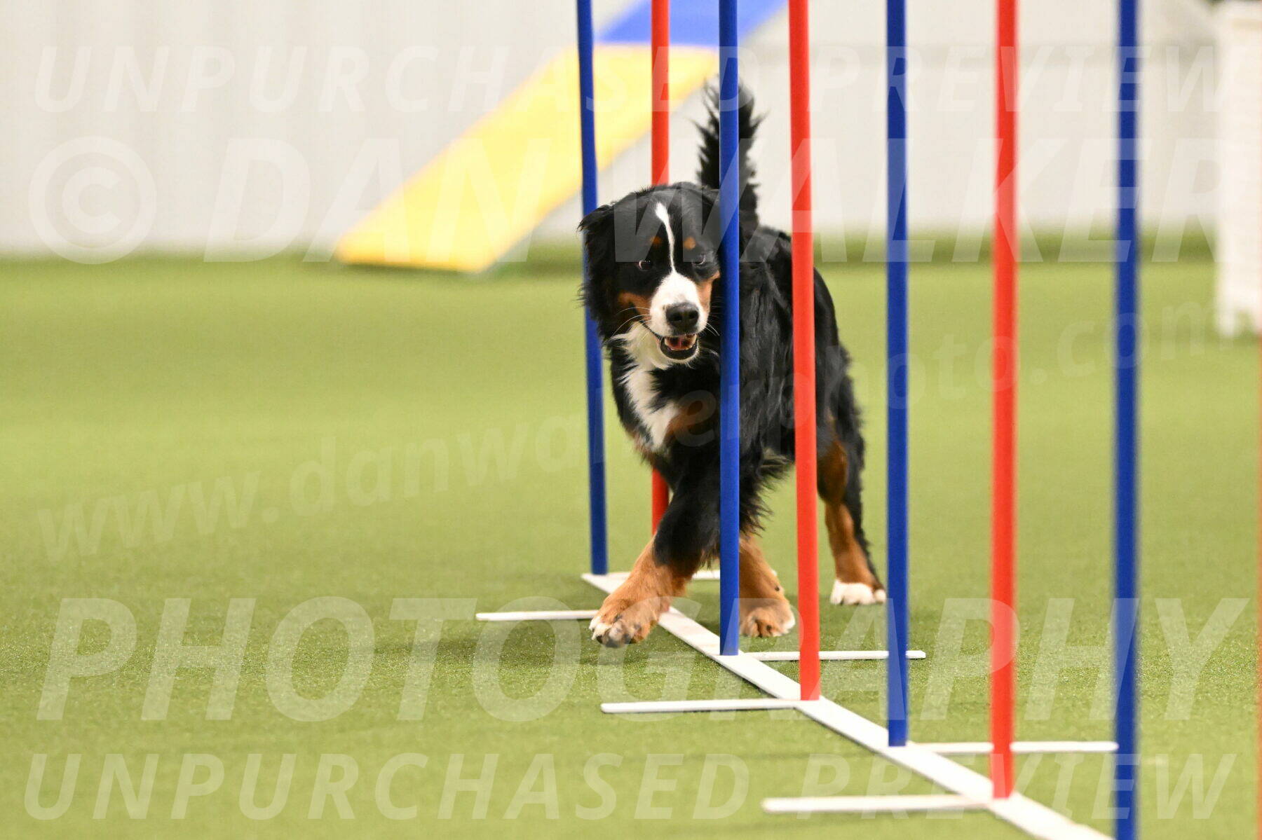 Margo-Julia-Airgood-09550