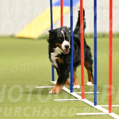 Margo-Julia-Airgood-09551