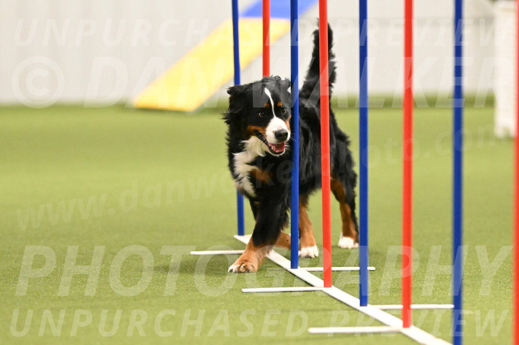 Margo-Julia-Airgood-09551