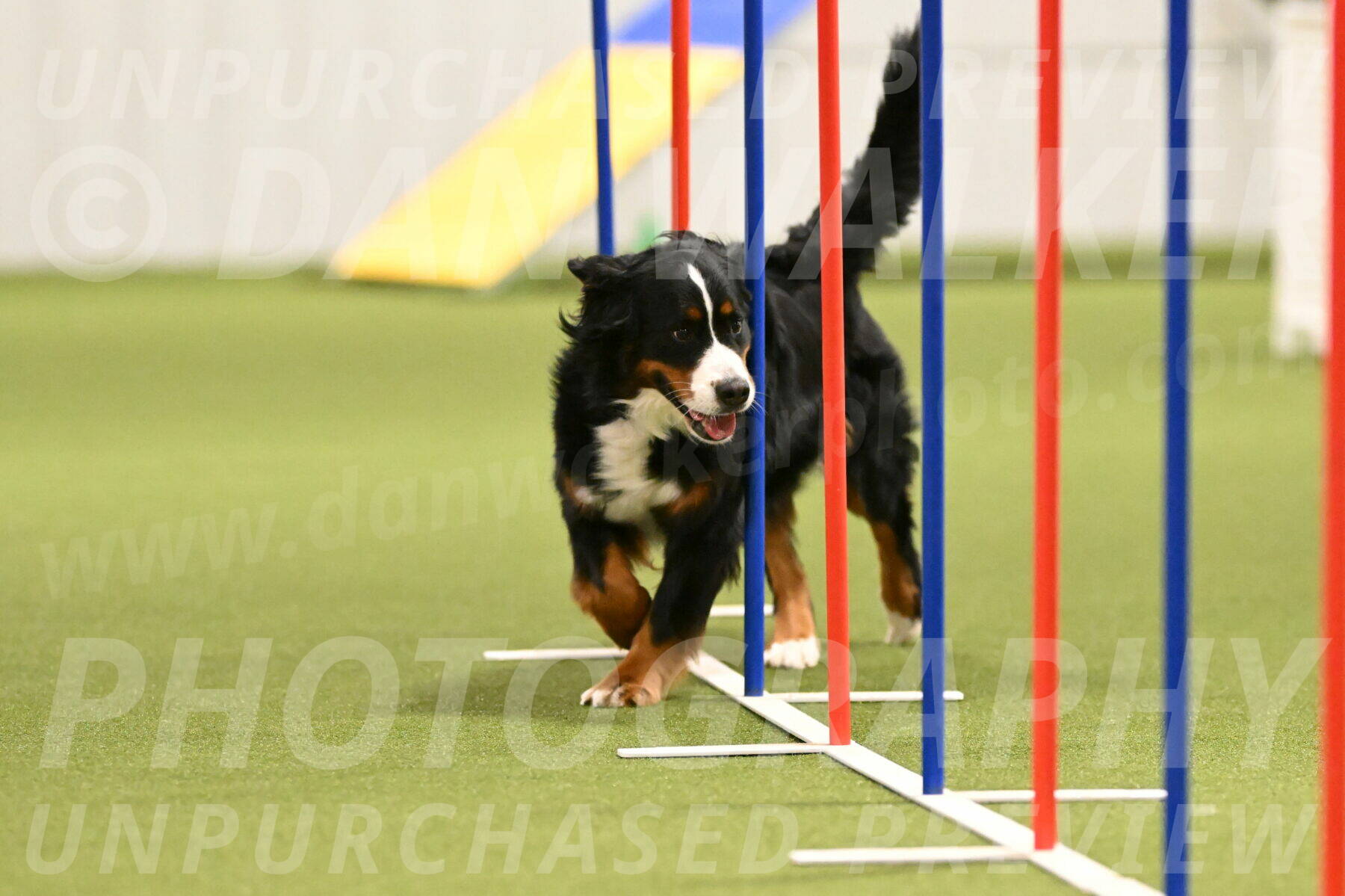 Margo-Julia-Airgood-09552