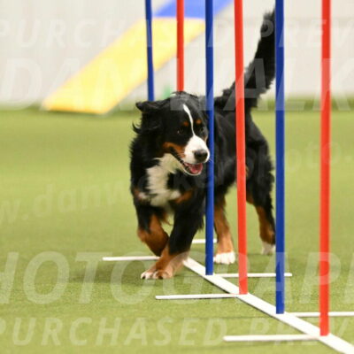 Margo-Julia-Airgood-09552