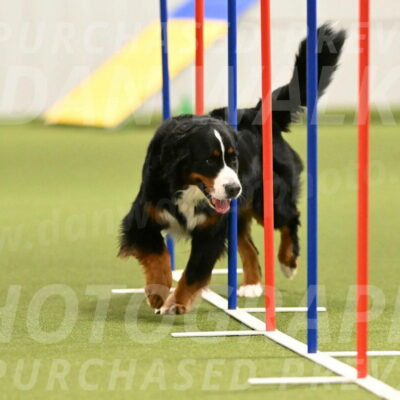 Margo-Julia-Airgood-09553