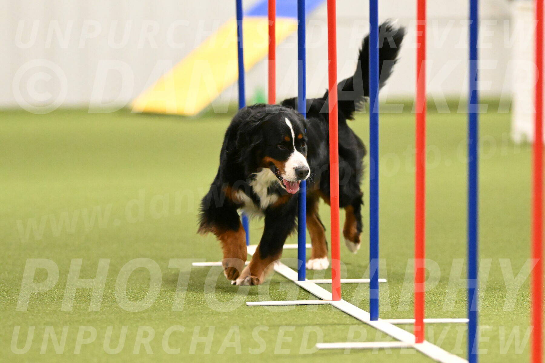 Margo-Julia-Airgood-09553