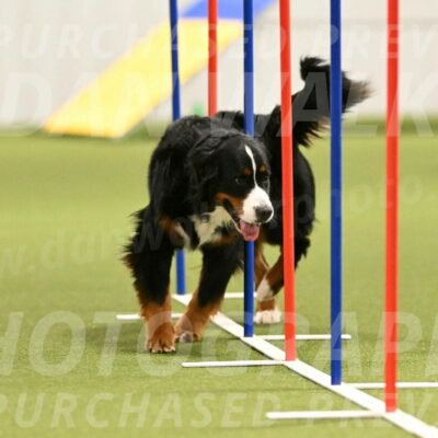 Margo-Julia-Airgood-09554