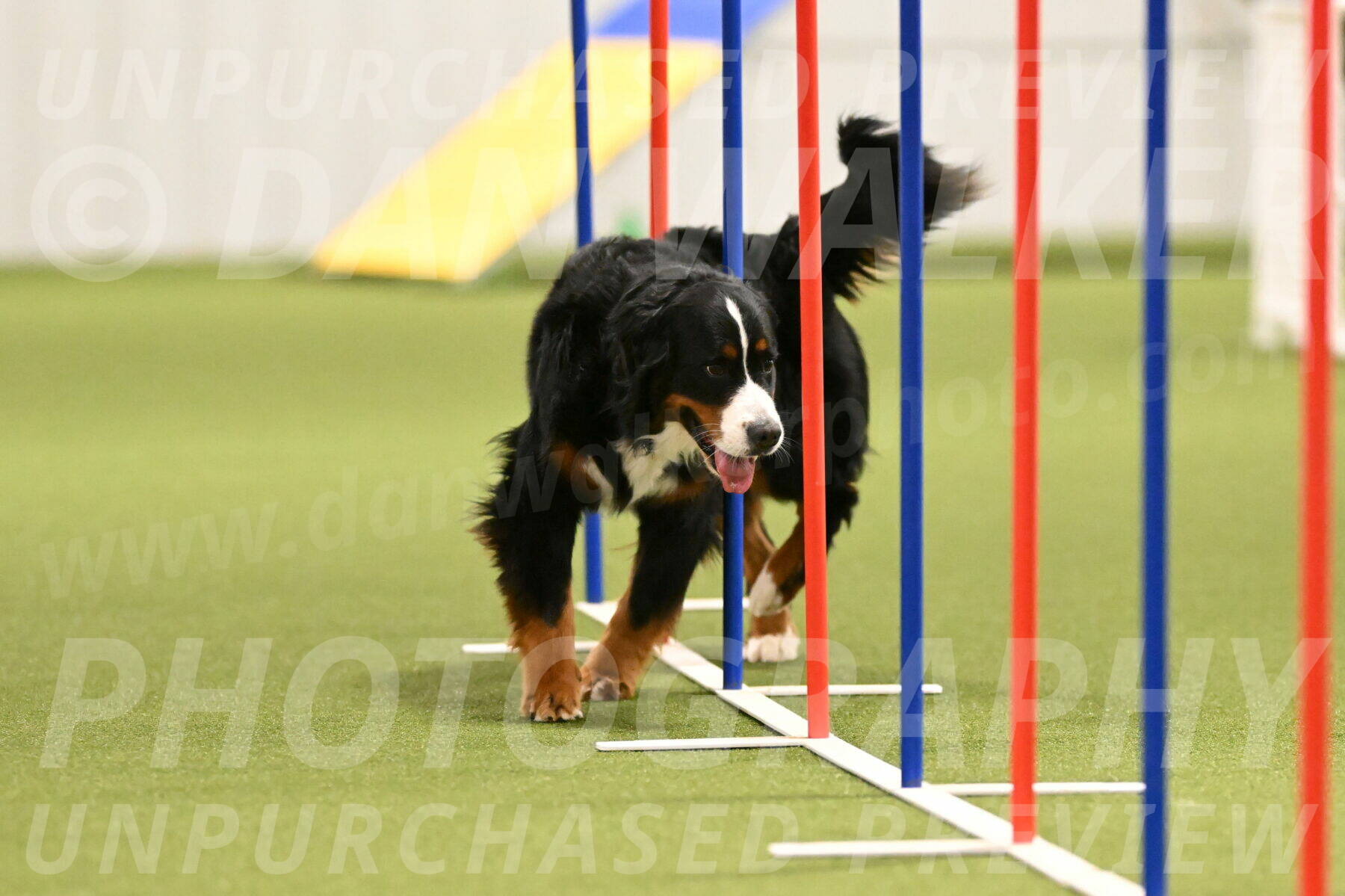 Margo-Julia-Airgood-09554