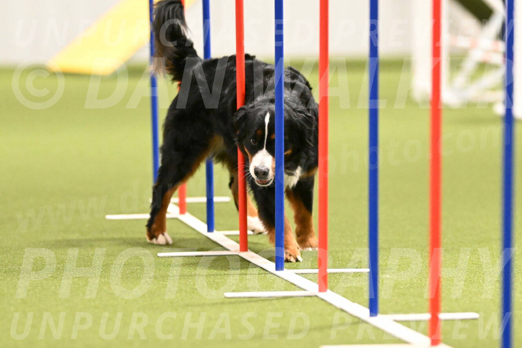 Margo-Julia-Airgood-09555