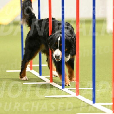 Margo-Julia-Airgood-09555