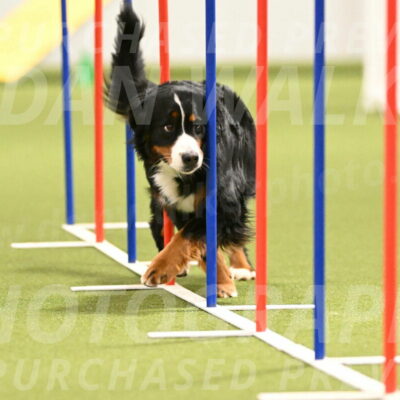 Margo-Julia-Airgood-09556