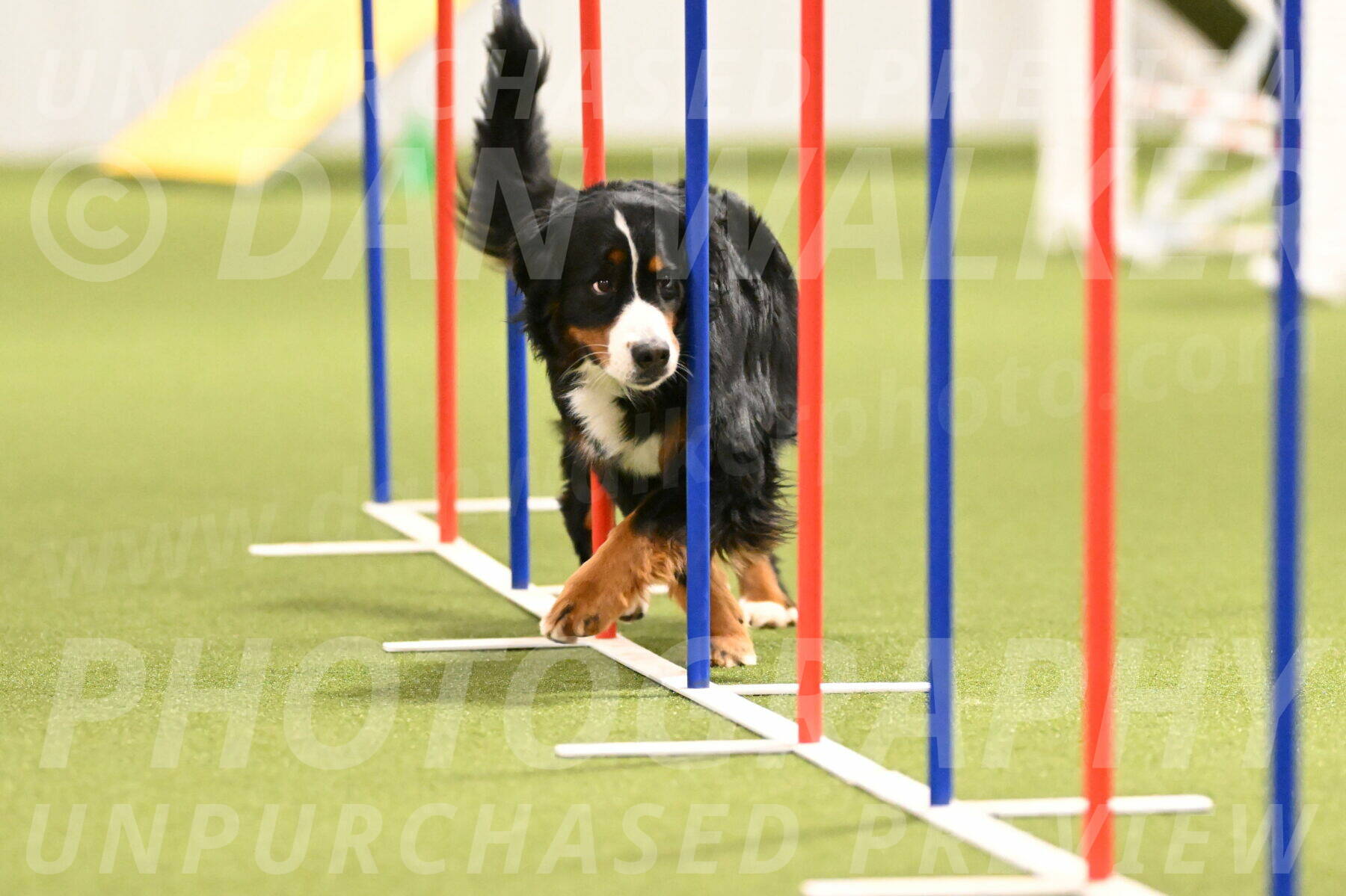 Margo-Julia-Airgood-09556