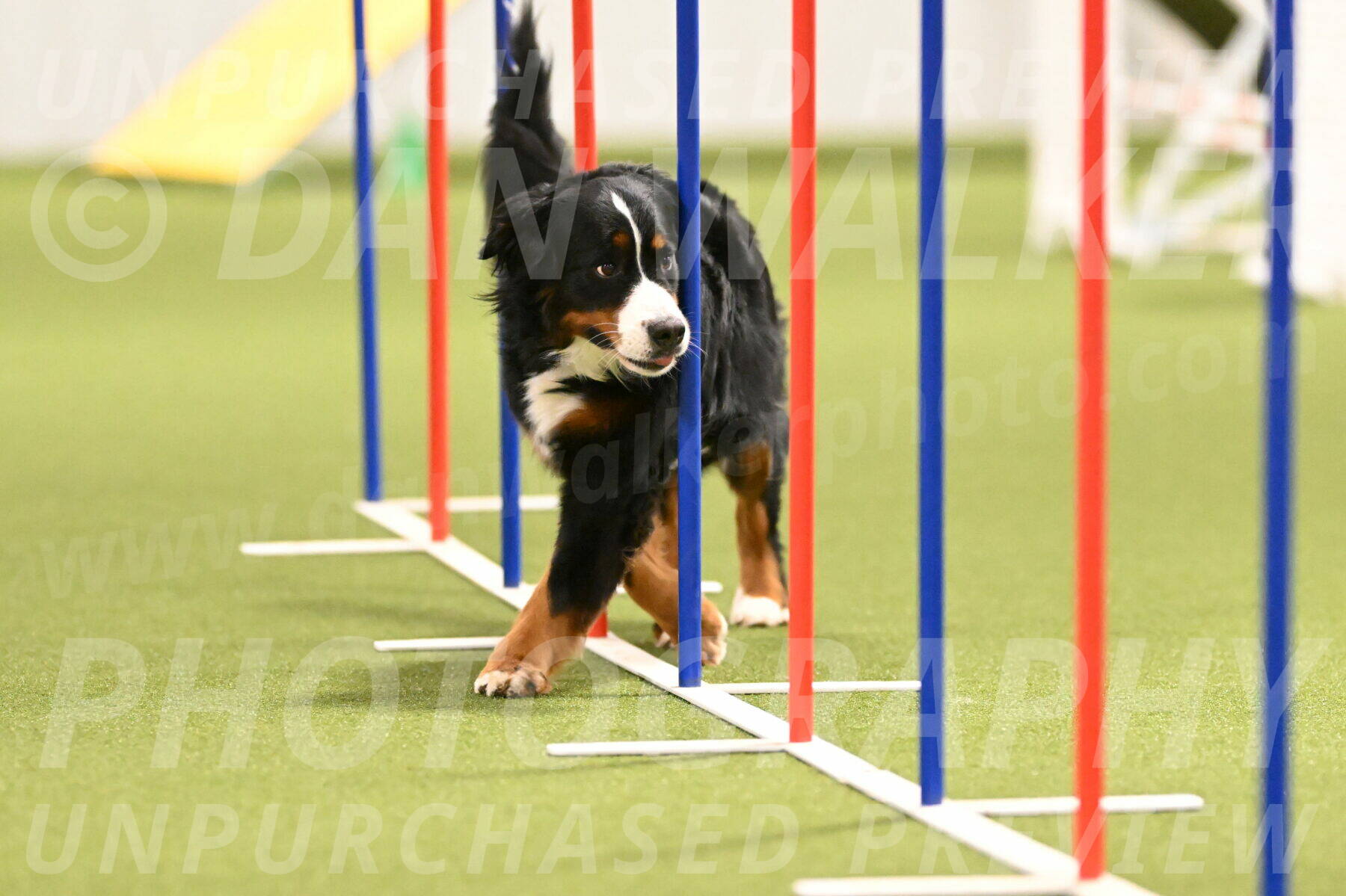 Margo-Julia-Airgood-09557