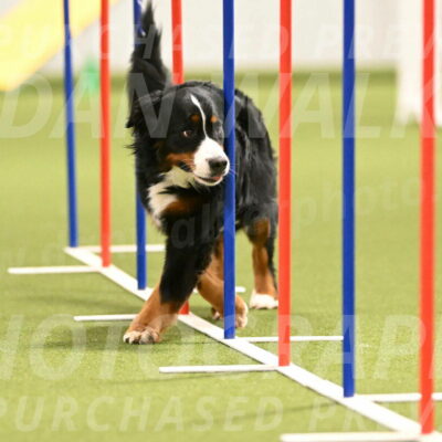 Margo-Julia-Airgood-09557