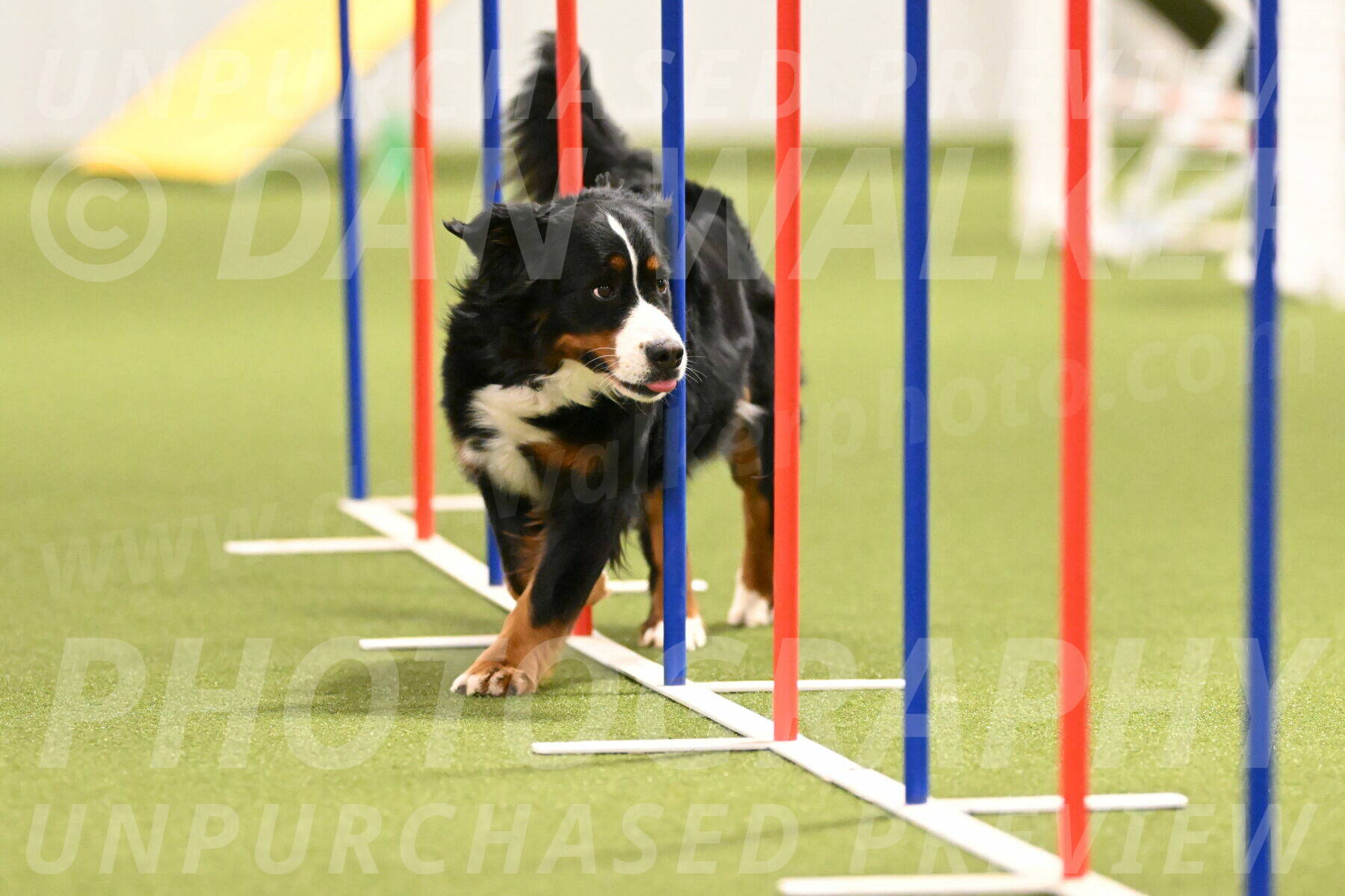 Margo-Julia-Airgood-09558