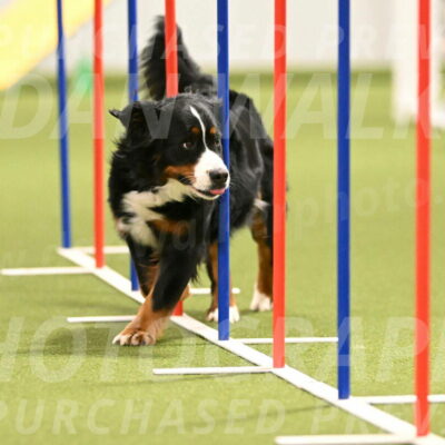 Margo-Julia-Airgood-09558