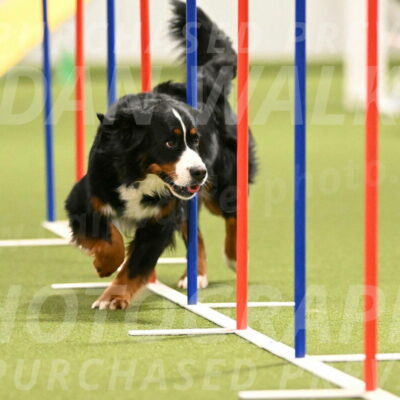 Margo-Julia-Airgood-09559