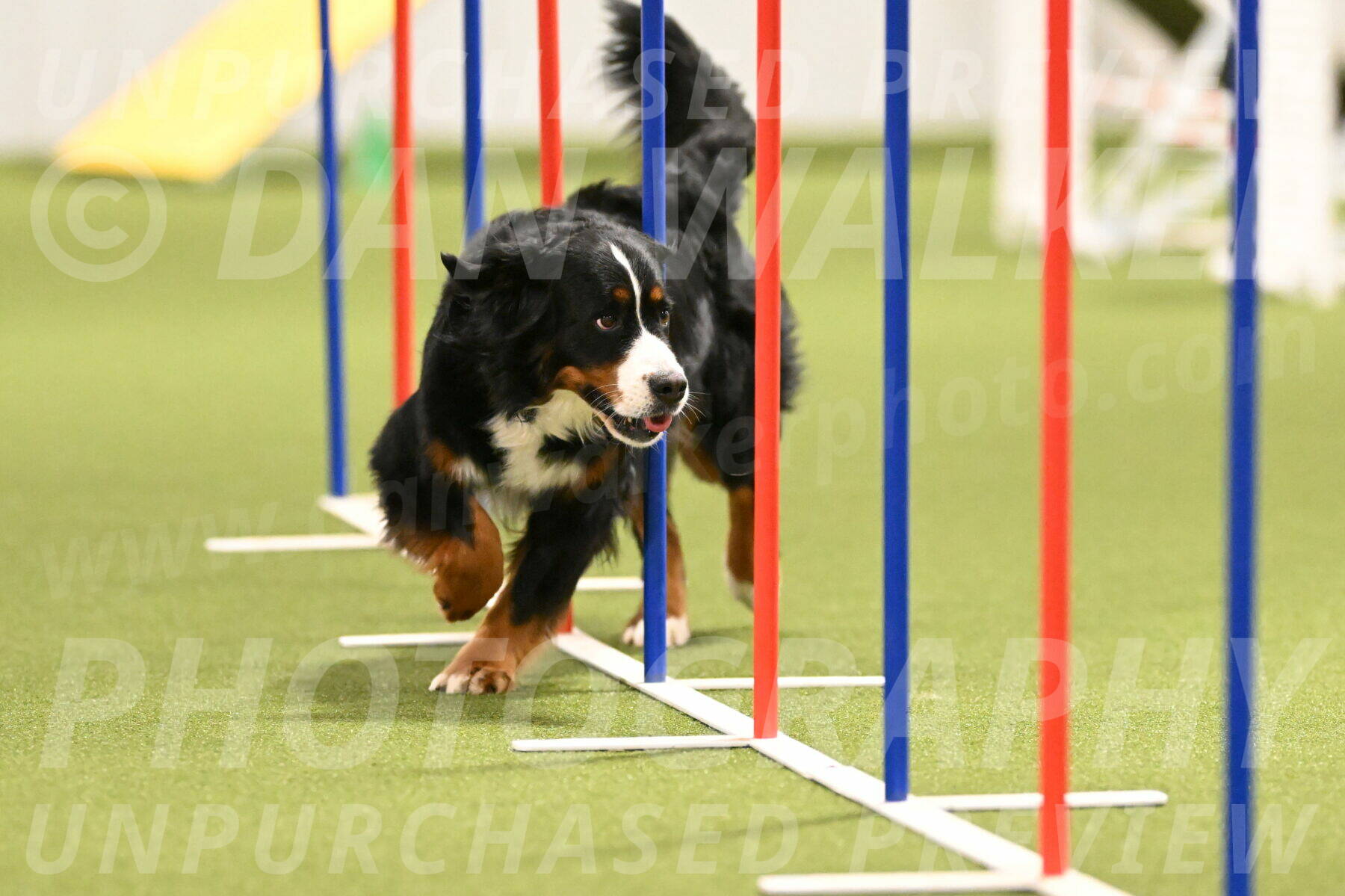 Margo-Julia-Airgood-09559