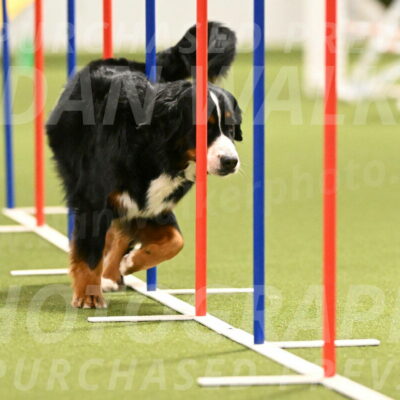 Margo-Julia-Airgood-09560