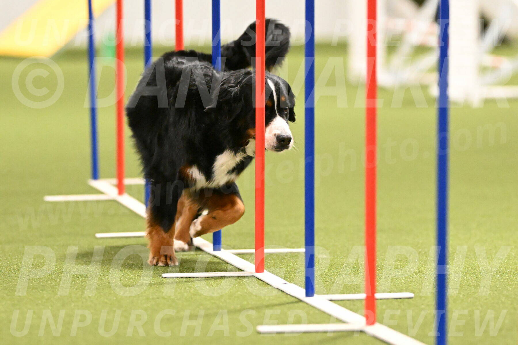 Margo-Julia-Airgood-09560