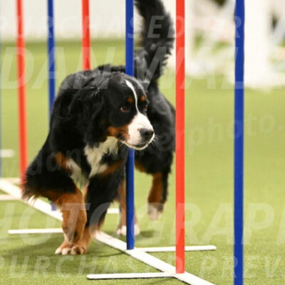 Margo-Julia-Airgood-09561