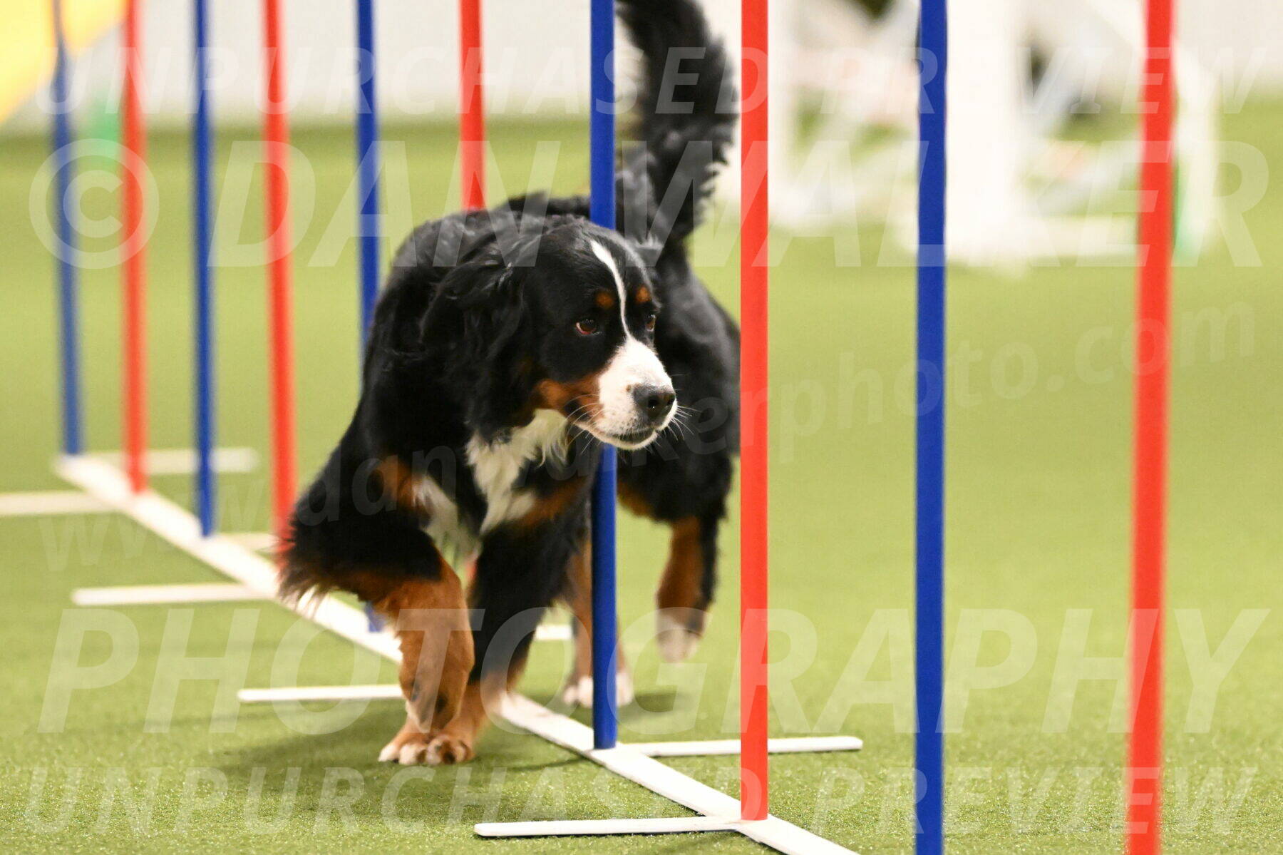 Margo-Julia-Airgood-09561