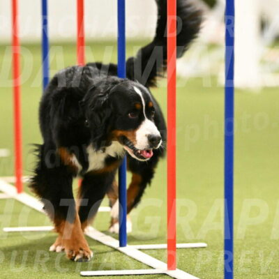 Margo-Julia-Airgood-09562