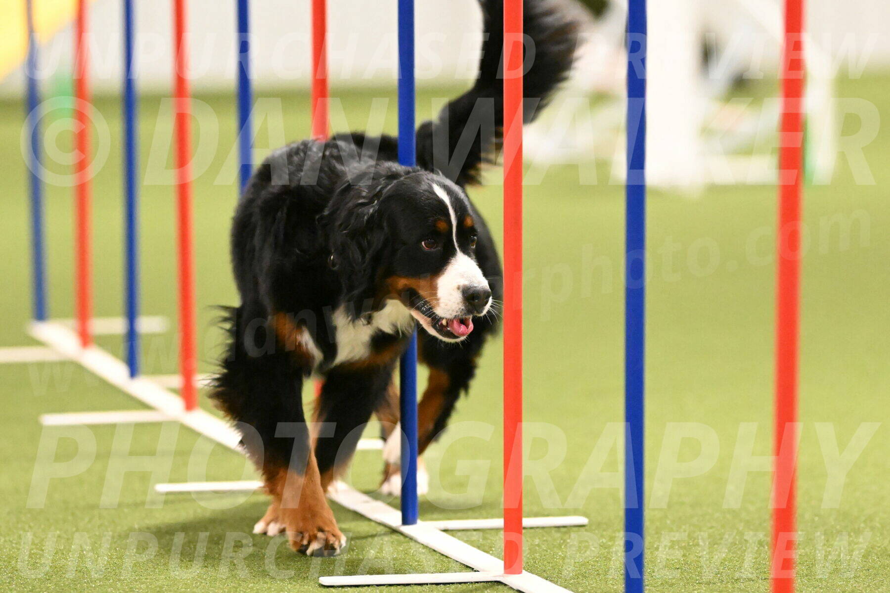 Margo-Julia-Airgood-09562