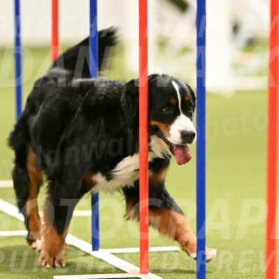 Margo-Julia-Airgood-09563