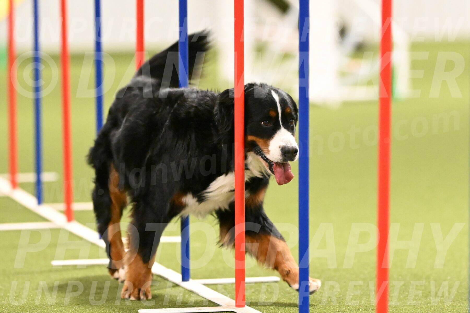 Margo-Julia-Airgood-09563