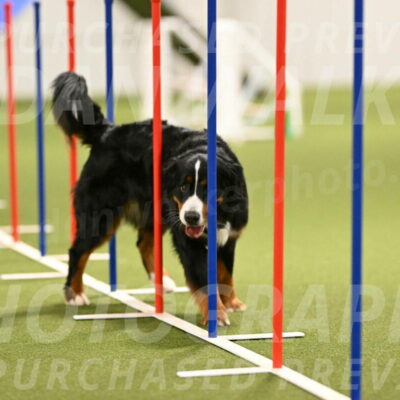 Margo-Julia-Airgood-09564