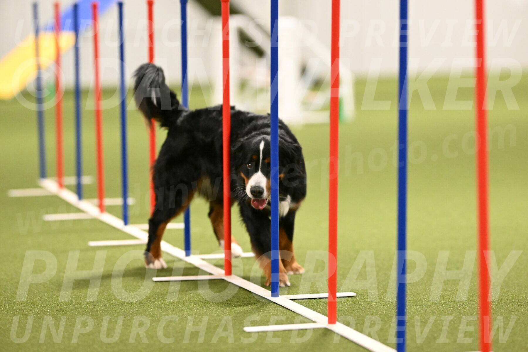 Margo-Julia-Airgood-09564