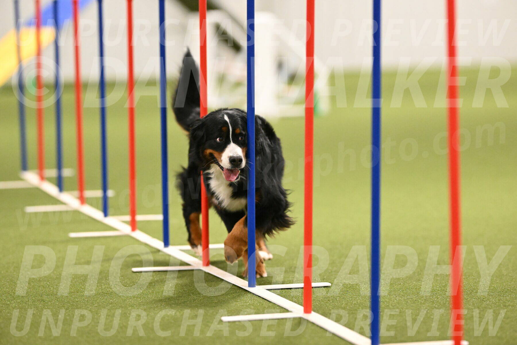 Margo-Julia-Airgood-09565