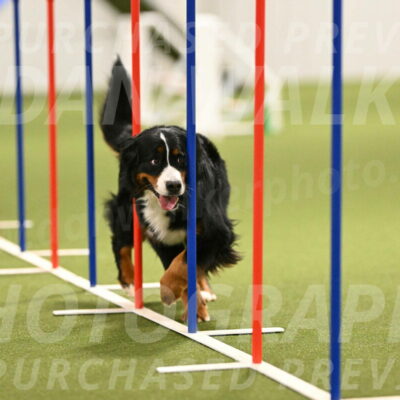 Margo-Julia-Airgood-09565