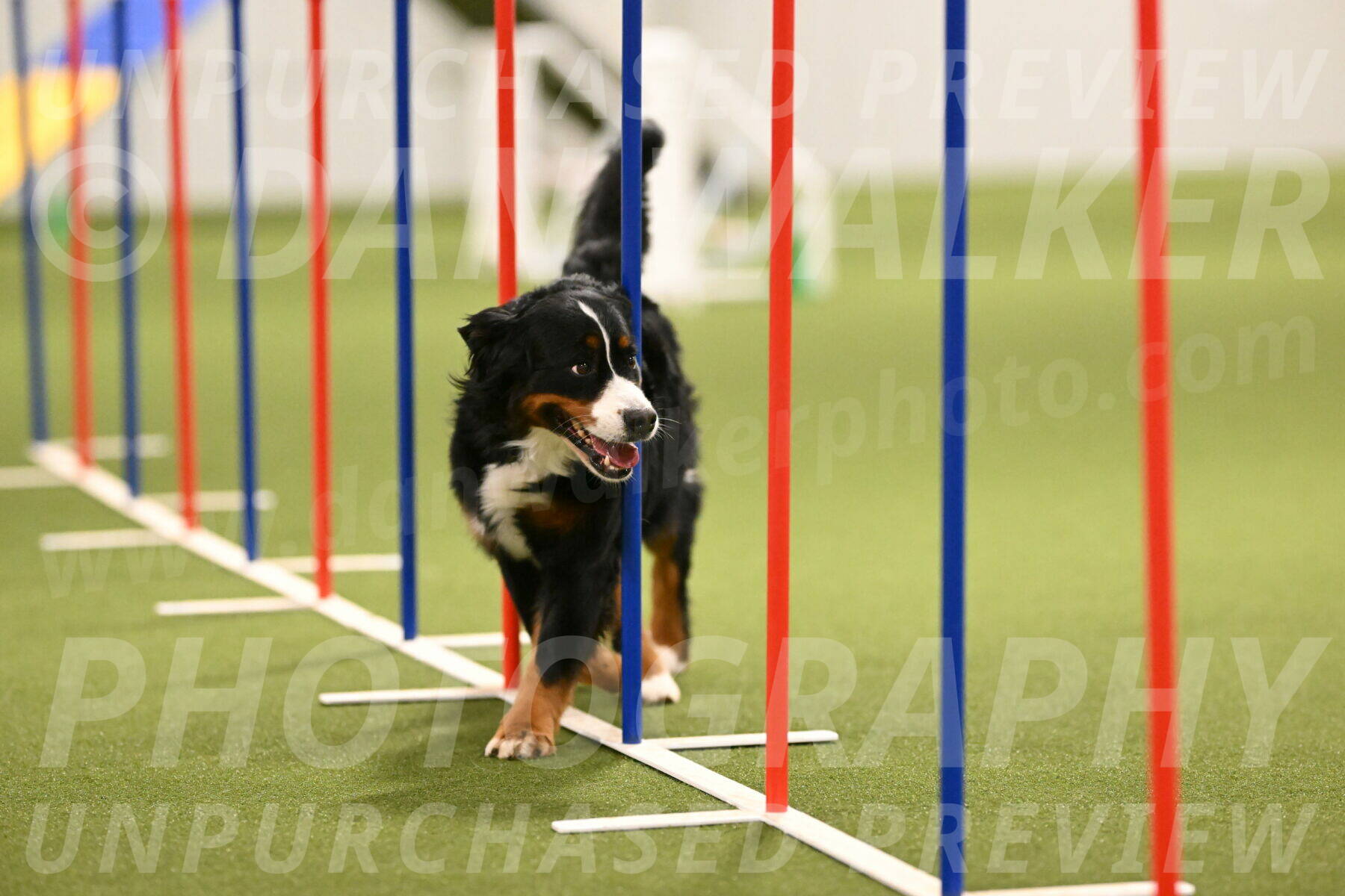 Margo-Julia-Airgood-09566