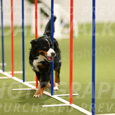 Margo-Julia-Airgood-09566