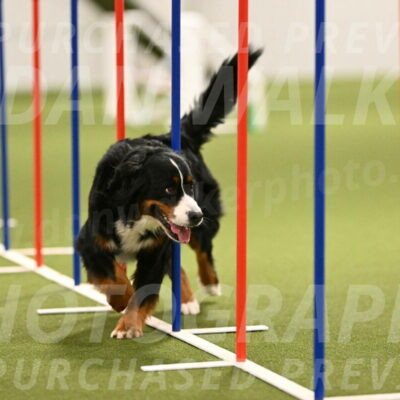 Margo-Julia-Airgood-09567