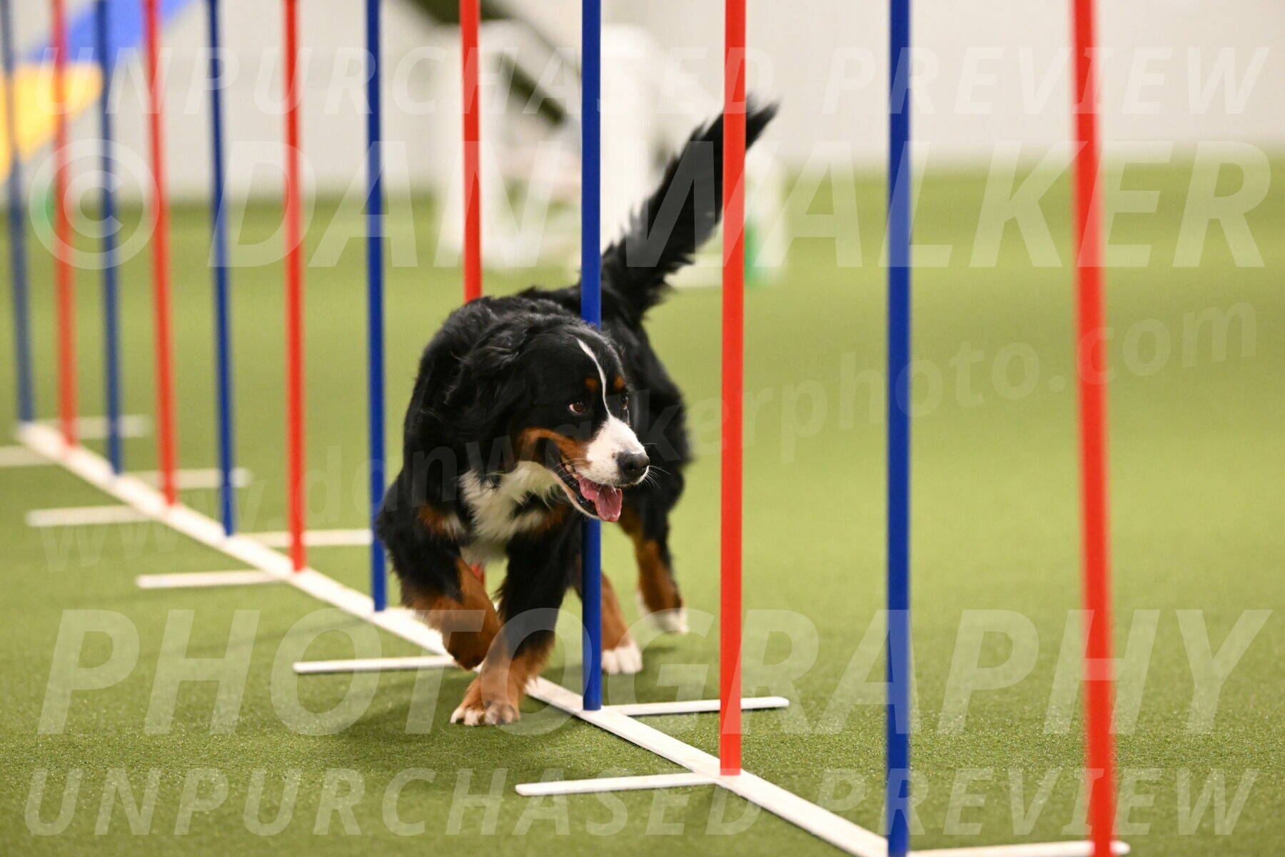 Margo-Julia-Airgood-09567