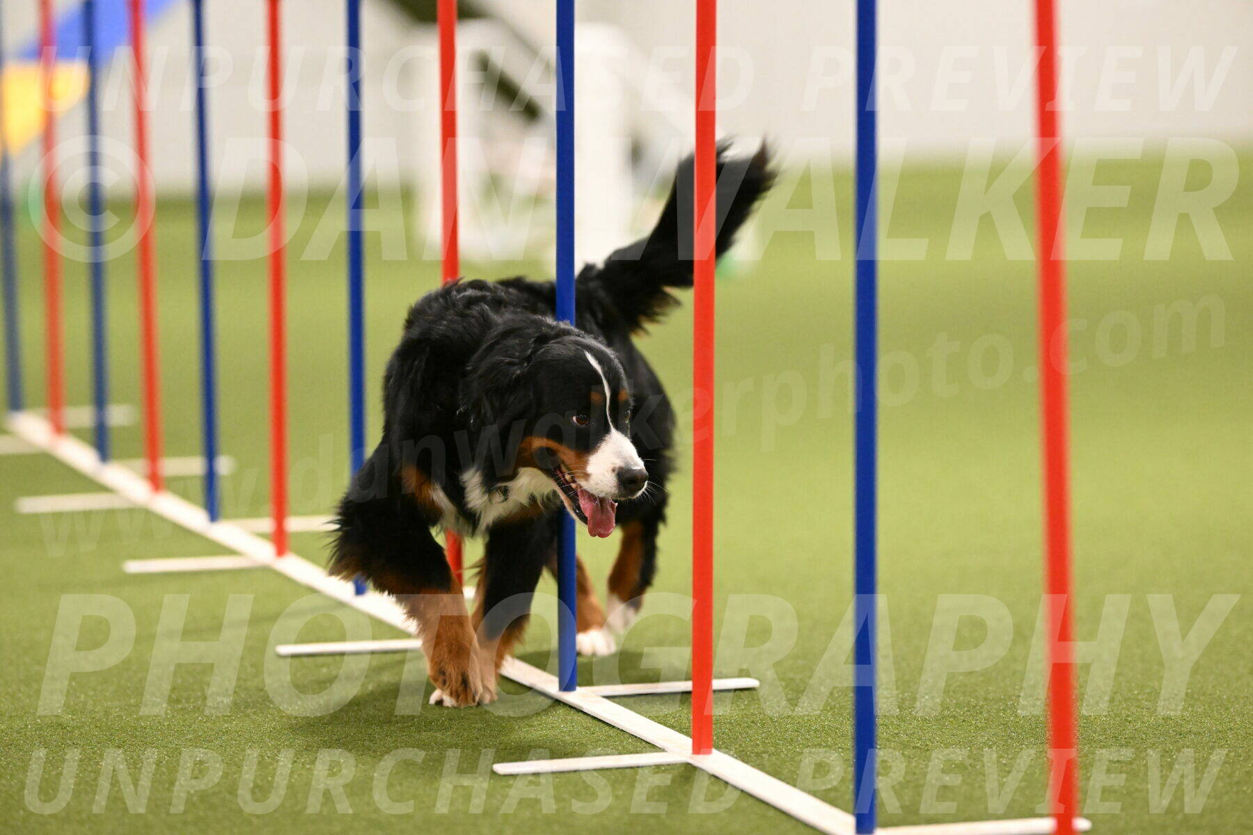 Margo-Julia-Airgood-09568