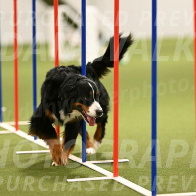 Margo-Julia-Airgood-09568