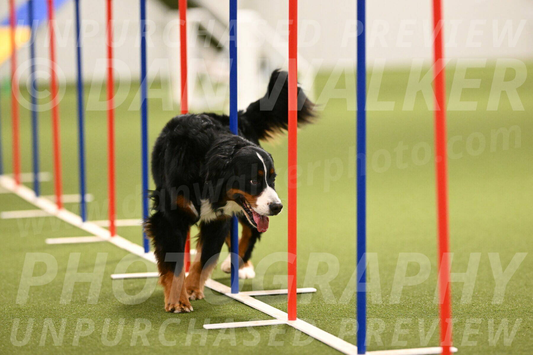 Margo-Julia-Airgood-09569