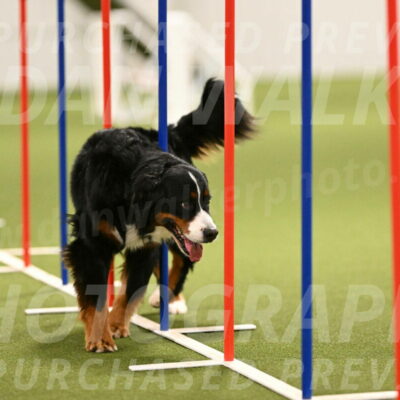 Margo-Julia-Airgood-09569