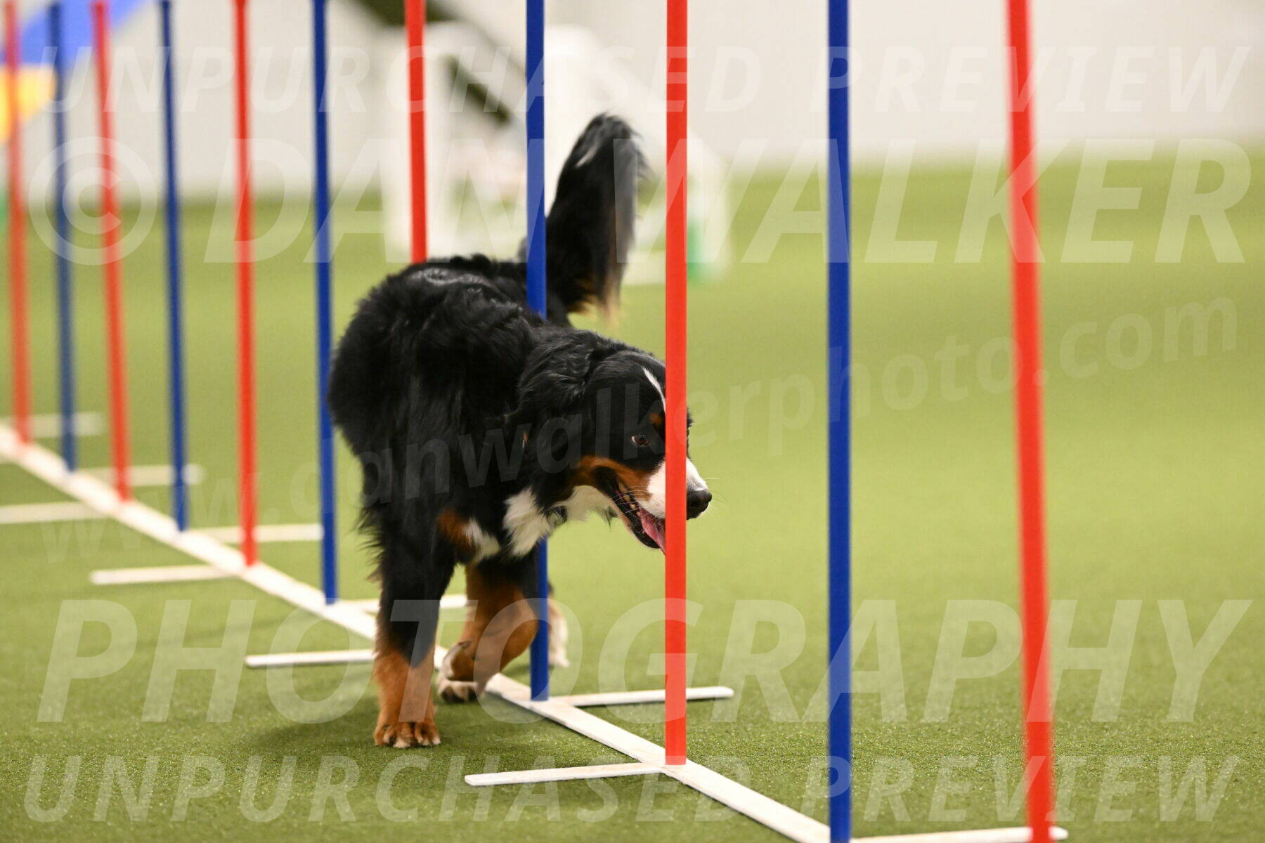 Margo-Julia-Airgood-09570