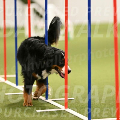 Margo-Julia-Airgood-09570