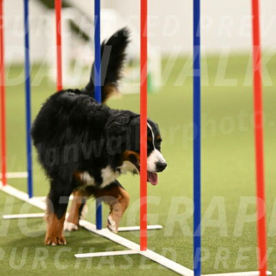 Margo-Julia-Airgood-09571