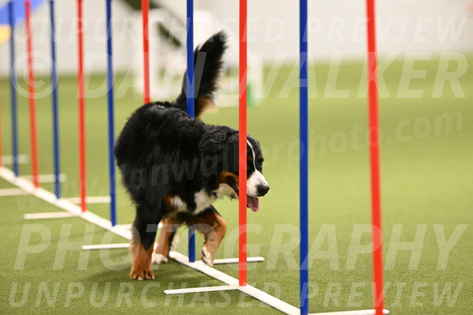 Margo-Julia-Airgood-09571