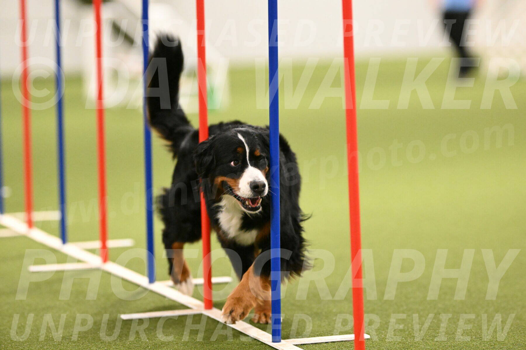 Margo-Julia-Airgood-09572