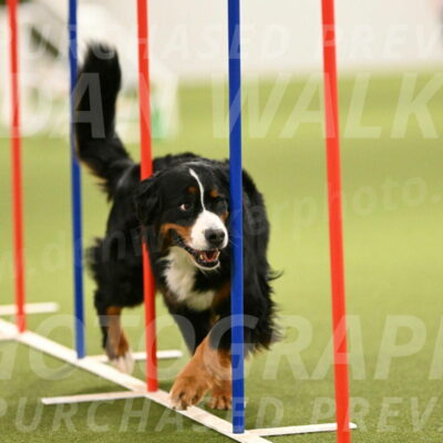 Margo-Julia-Airgood-09572