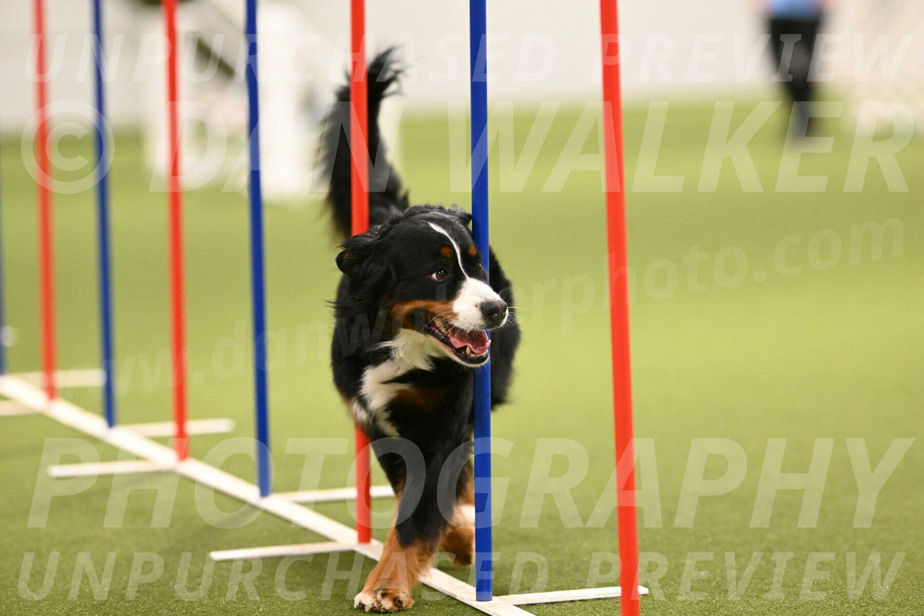 Margo-Julia-Airgood-09573