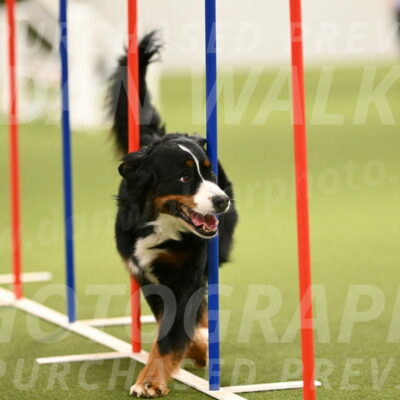 Margo-Julia-Airgood-09573