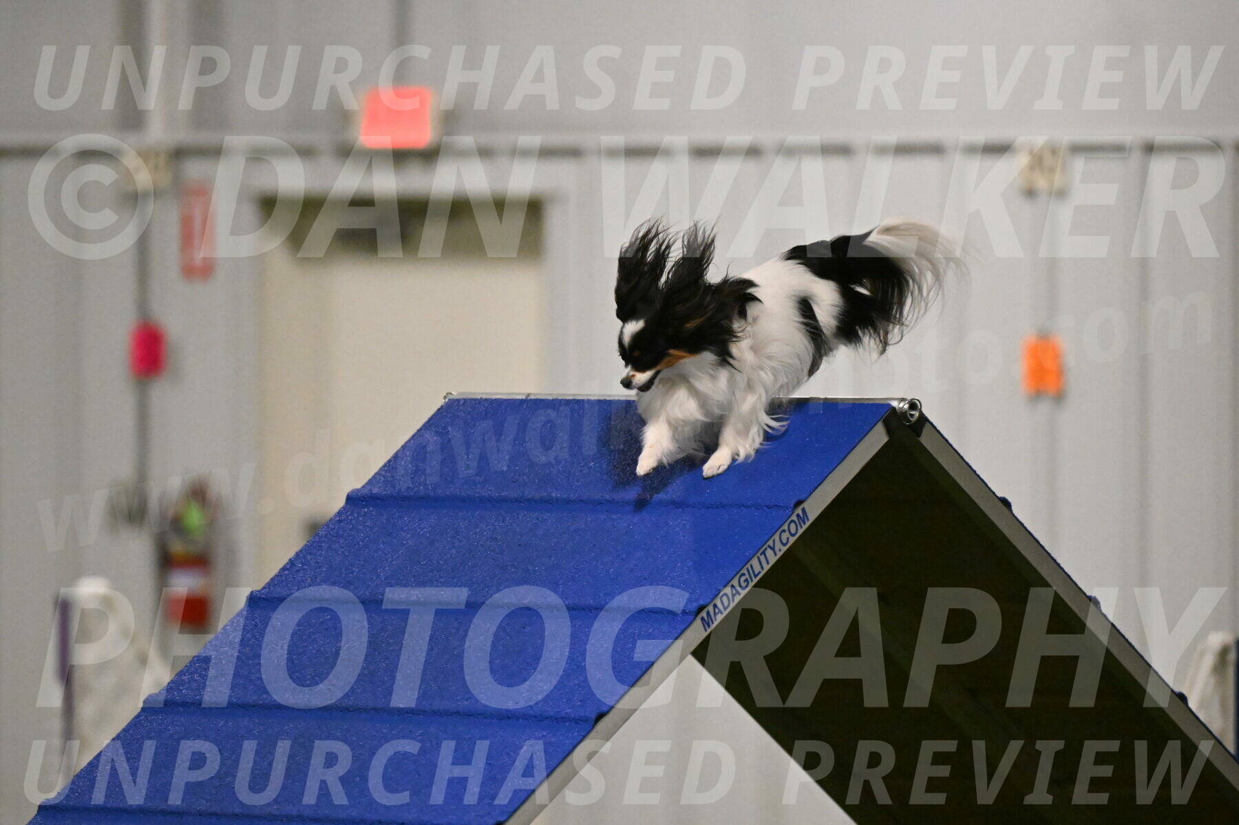Maverick-Melinda-Sanford-11066